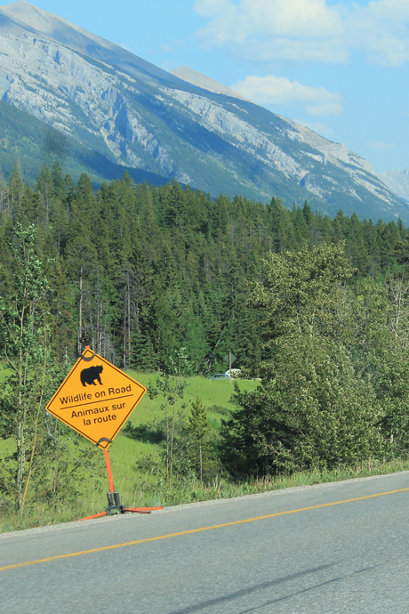 כביש חוצה קנדה, שבוע וחצי אחרי השיטפון. הגדרות סביב הכביש נעקרו ממקומן, והנהגים מתבקשים לנהוג משנה זהירות על מנת לא לפגוע בחיות בר.