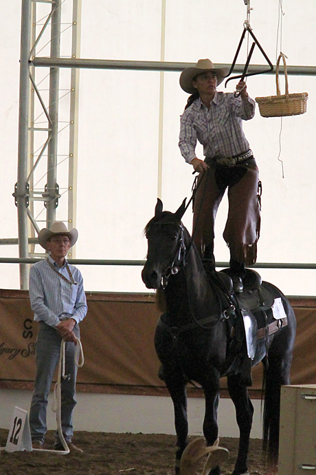 טרייסי פינסון מצלצלת במשולש בעמידה על גב הסוס שלה, סקייג'אקר מאונטיין היי (באמת! ככה קוראים לו!) שהוא סוס הרבעה מגזע טנסי ווקר. לרכב בתחרות כזו על סוס לא מסורס זה אתגר בזכות עצמו.