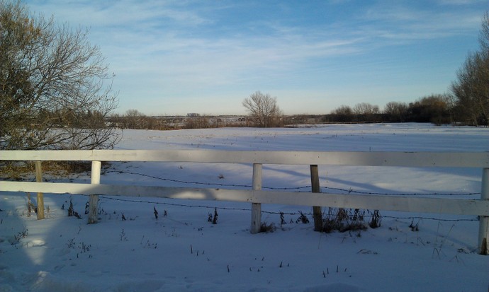 המרעה שלצד החווה בשלהי החורף. נוף ערבה אופייני, למעט כמות השלג הגדולה מהרגיל.