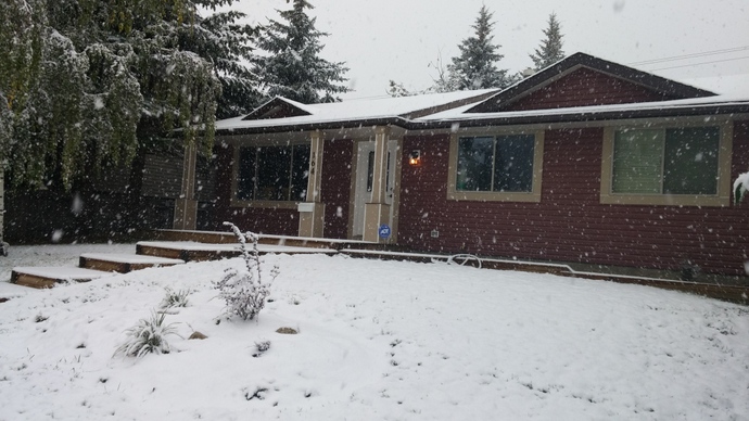 השלג יורד על הבית שלנו, ביום הראשון לסופה